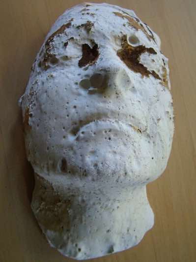 Plaster cast - altered by emersion in Pacific Ocean through one tide cycle.
