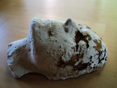 Plaster cast - altered by emersion in Pacific Ocean through one tide cycle.